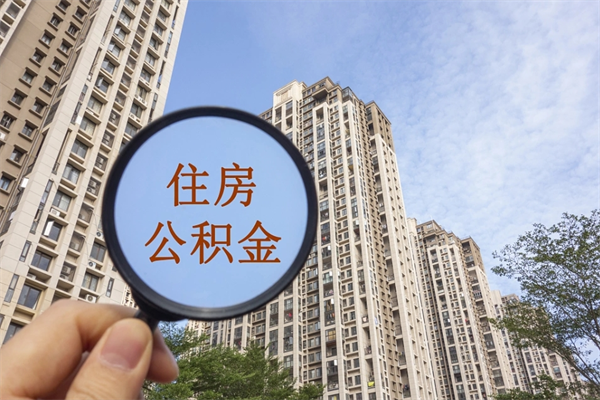项城深圳公积金（深圳公积金首页）